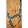 Hamilton 1q Avgt 8-11 1 in. Nyl Horse Halter Gt HV301341251